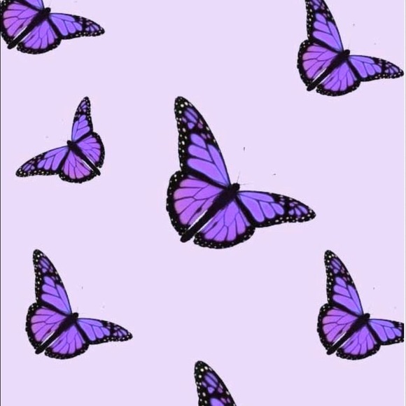 Meet your Posher, Lyndsay - Picture 1 of 1